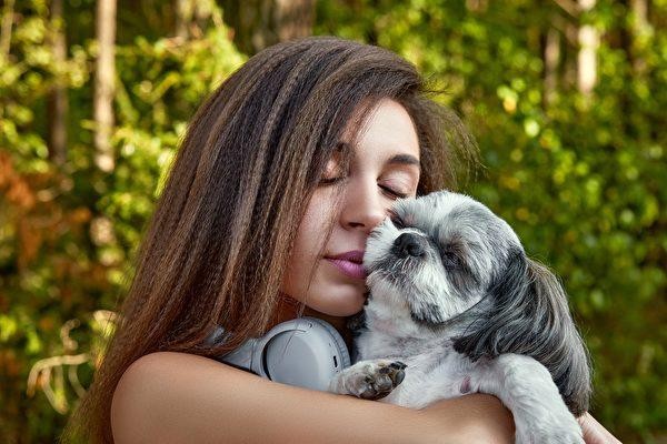 狗狗走失8年，跨年夜西施犬给了8年前的主人一个惊喜